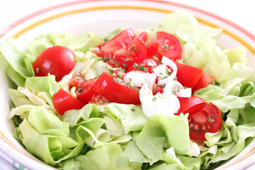frischer Salat