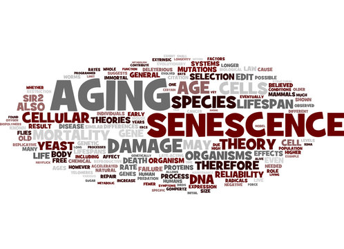 Aging  words related concepts collage
