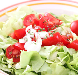 frischer Salat