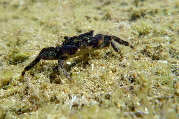 Under water