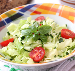 frischer salat