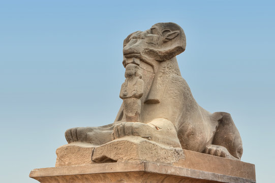 Karnak's sphinx