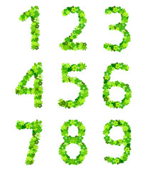 Number from flowers in green colour