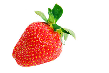 Strawberrie isolated over white background, studio shot