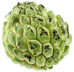 atte, pomme cannelle, annona squamosa, fond blanc