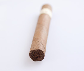 Cigar