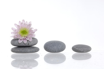 Obraz na płótnie Canvas Flower and stack of spa pebbles with reflection