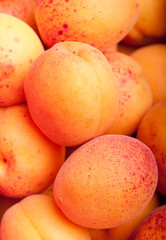 Apricots