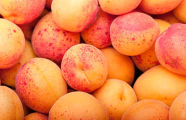 Apricots