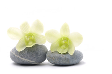 Spa composition of stones and orchid flower