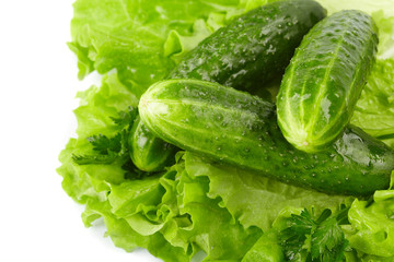 cucumbers and lettuce on the white background