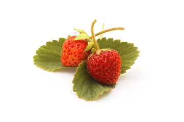 ripe strawberry