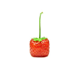 juicy strawberry