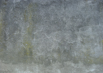 dirty gray wall with some moss