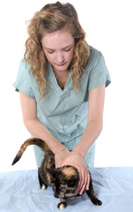 jeune vétérinaire oscultant un chat