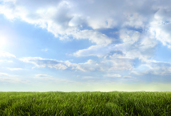 Green field and blue sky