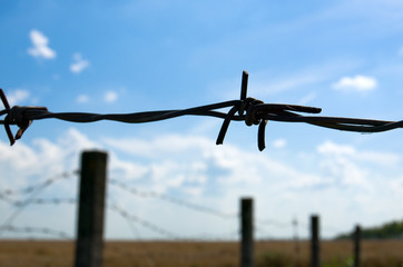 barbed wire fence