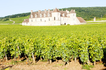 Fototapeta na wymiar Clos Blanc De Vougeot Castle, Burgundy, France