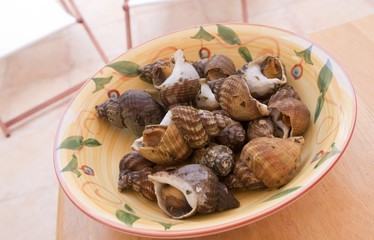 Whelks in a plate