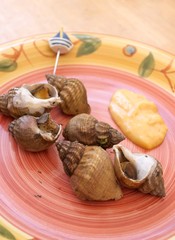 Whelks in a plate