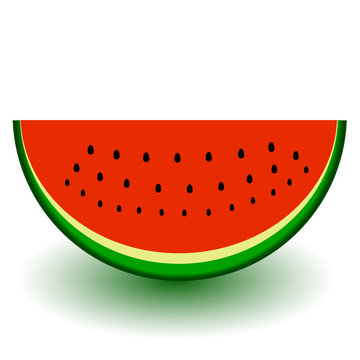 a piece of watermelon vector illustration