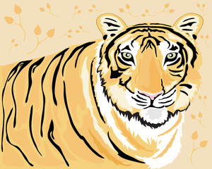tiger