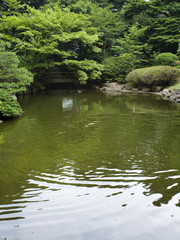 Fototapeta na wymiar 日本庭園と橋