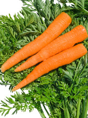 Fresh carrots