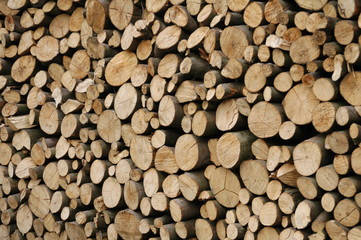 Holzstapel, Holz