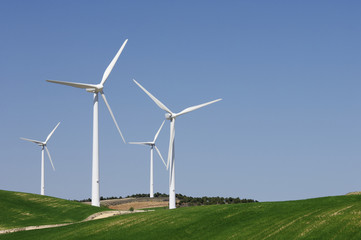 Fototapeta premium wind energy