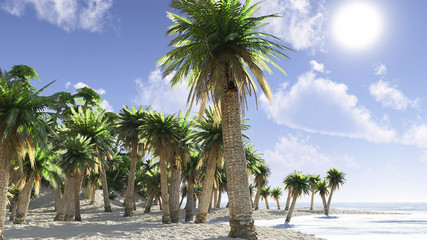 Fototapeta na wymiar Idyllic tropical island with palm trees