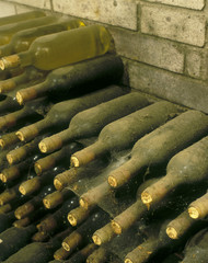 wine archive in wine cellar, Czech Republic