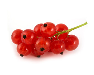 Currant