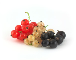 Currant