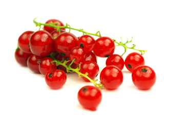 Currant on white background