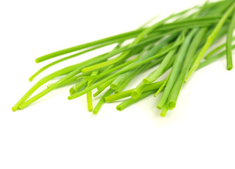 fresh chives on white background