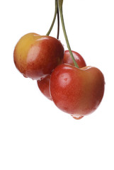 Three Hanging Ranier Cherries
