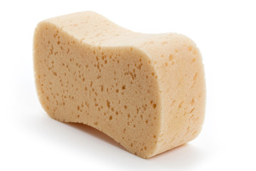 Yellow Sponge