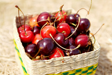 Cherries