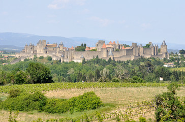 Fototapeta na wymiar Carcassonne Castle 1