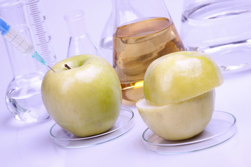 Laboratory Experiments