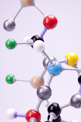 Molecular chain model