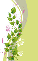 Blume, Blüte, Ranke, filigran, floral, background