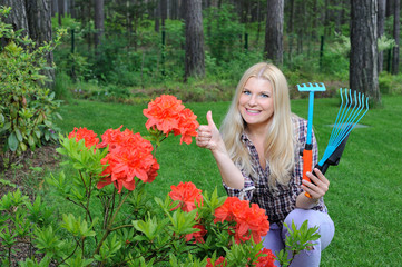 Pretty gardener woman with red flower bush and gardening tools o