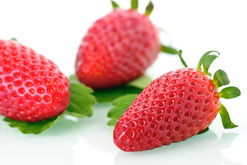 Erdbeere