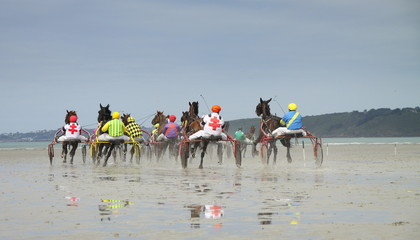 course chevaux sur la plage,sable,hippodrome,marin