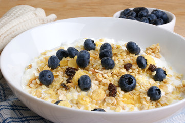 Müsli mit Früchten in einer weissen Schale