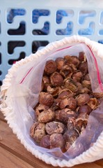 noix de lavage indiennes