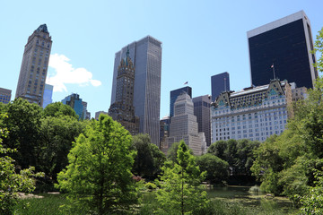 Fototapeta na wymiar Summer Time in Central Park , New York City