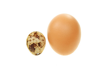 Quail and hen's eggs